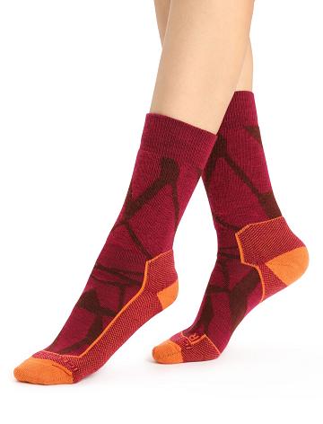 Chaussettes Icebreaker Merino Hike+ Medium Crew Fractured Landscapes Femme Rose | FR 1406FDNM